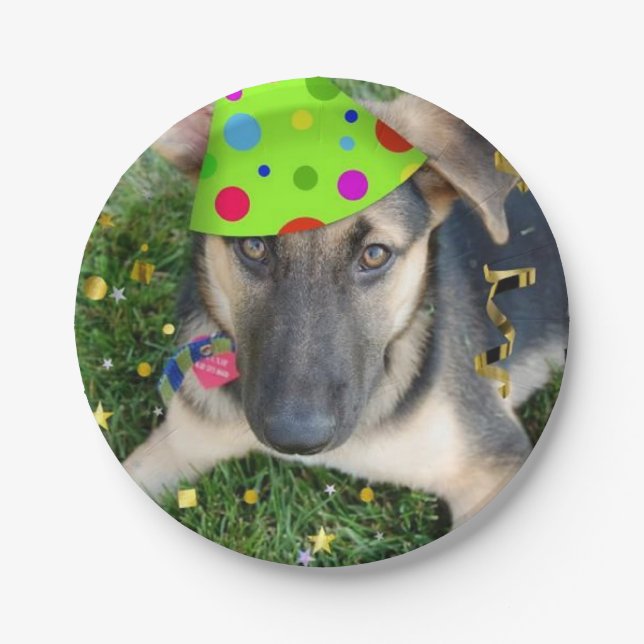 Birthday Party German Shepherd Paper Plate (Front)