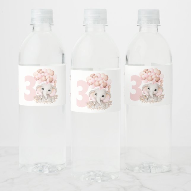 Birthday Party Girl Personalised Water Bottle Label (Bottles)