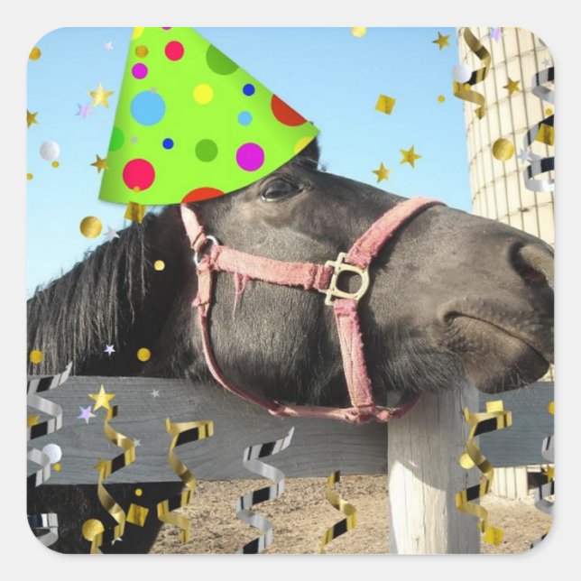 Birthday Party Horse Square Sticker (Front)