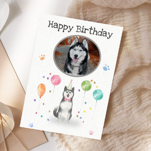 Birthday Party Husky Sibir  Dog Animal Card