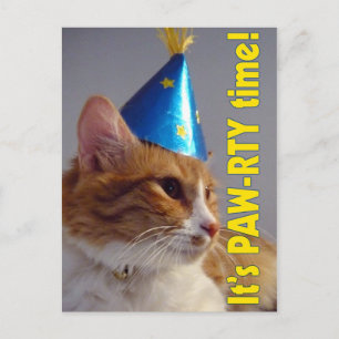 Birthday Party Invitation PAW-RTY Cat Postcard