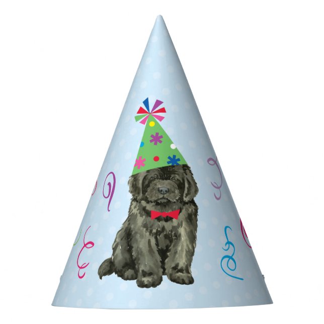 Birthday Party Newfoundland Party Hat (Front)