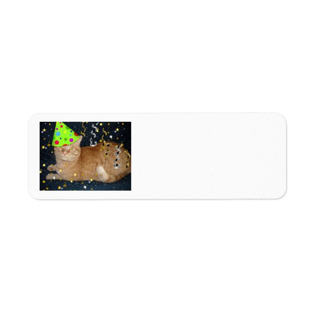 Birthday Party Orange Tabby Cat (Front)