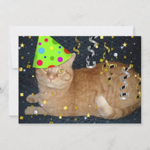 Birthday Party Orange Tabby Cat Invite
