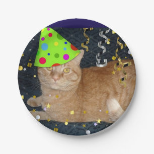 Birthday Party Orange Tabby Cat Paper Plate