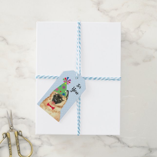 Birthday Party Tervuren Gift Tags (With Twine)