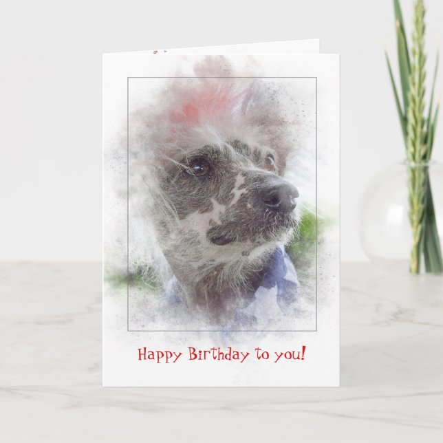 birthday-patriotic Chinese Crested Hairless dog Card (Front)