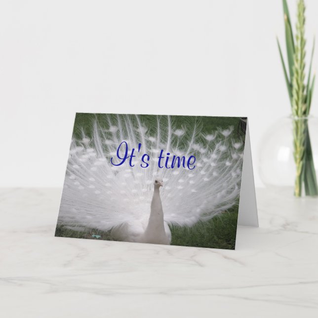 Birthday Peacock Greeting Card (Front)