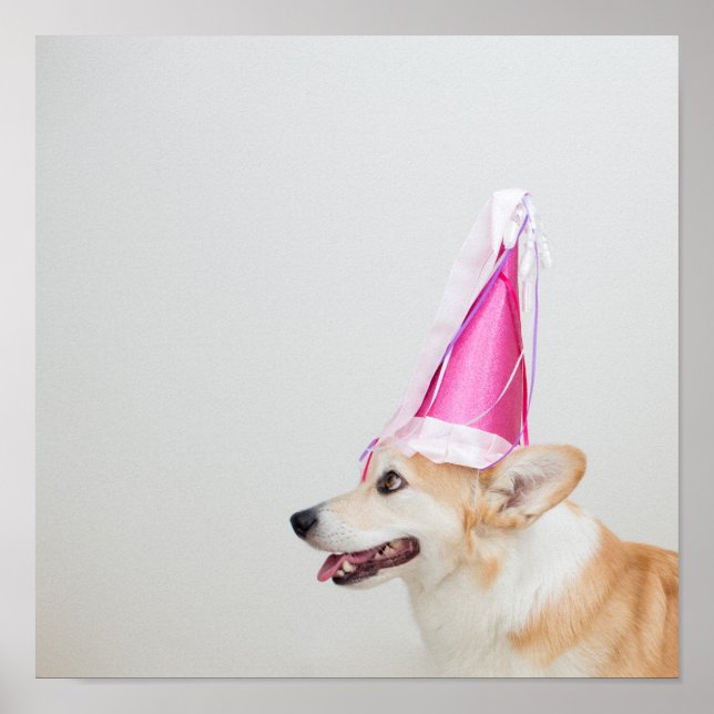 Birthday Pembroke Welsh Corgi Dog Poster (Front)