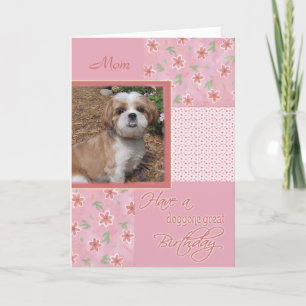Birthday - Pet Photo Card