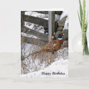Birthday Pheasant in Snow Card