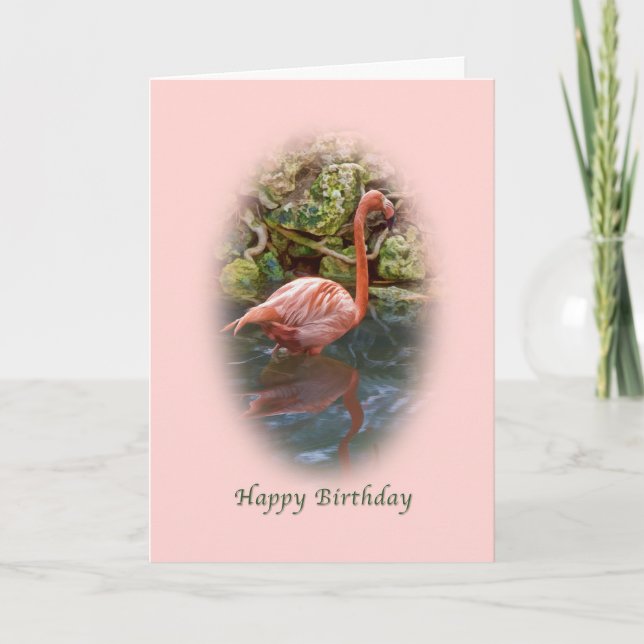 Birthday, Pink Flamingo Card (Front)
