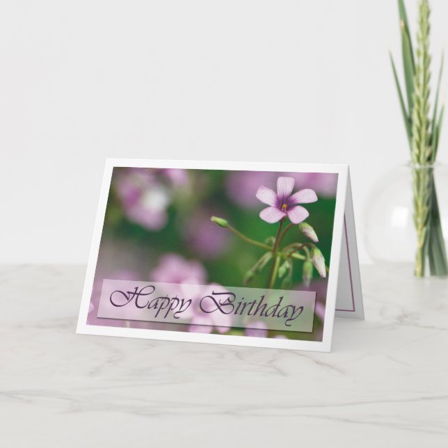 Birthday - Pink Wood Sorrel Greeting Card (Front)