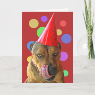 Birthday Pit Bull Cute Dog with Party Hat Kisses Card