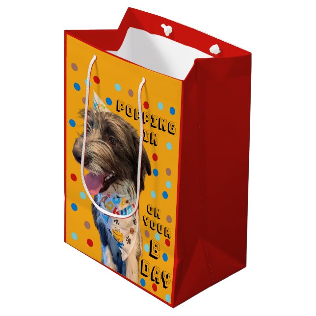 Birthday Pop In Puppy Gift Bag (Front Angled)