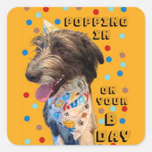 Birthday Pop In Puppy Sticker
