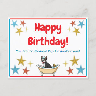 Birthday Postcard