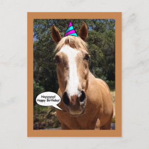Birthday Postcard - Bess the Horse