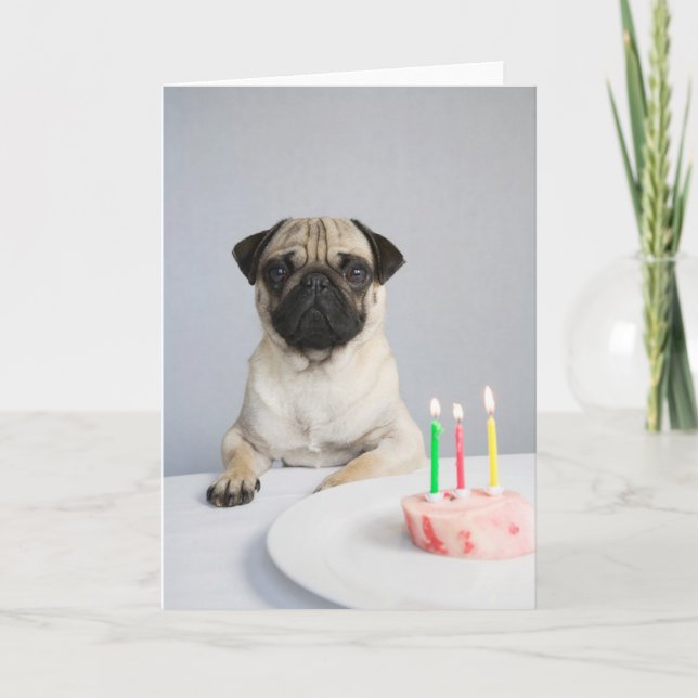 Birthday Pug Card (Front)