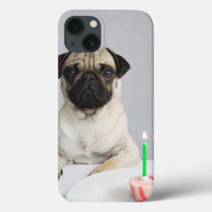 Birthday Pug iPhone 13 Case