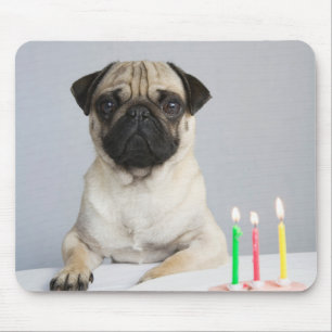 Birthday Pug Mouse Mat