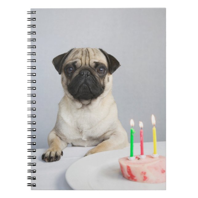 Birthday Pug Notebook (Front)