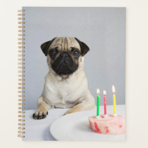 Birthday Pug Planner