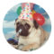 Birthday Pug Stickers