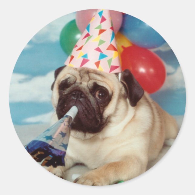 Birthday Pug Stickers (Front)