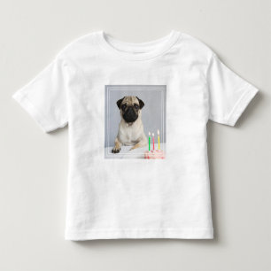 Birthday Pug Toddler T-Shirt