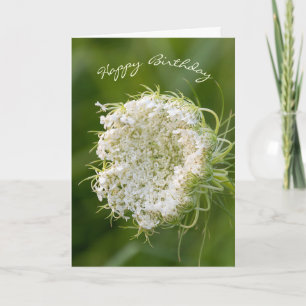 birthday-Queen Anne's Lace macro Card