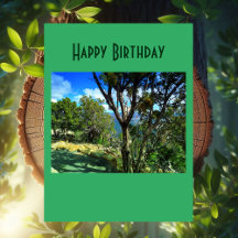 Birthday Quote Greenery Forest Nature Phothography