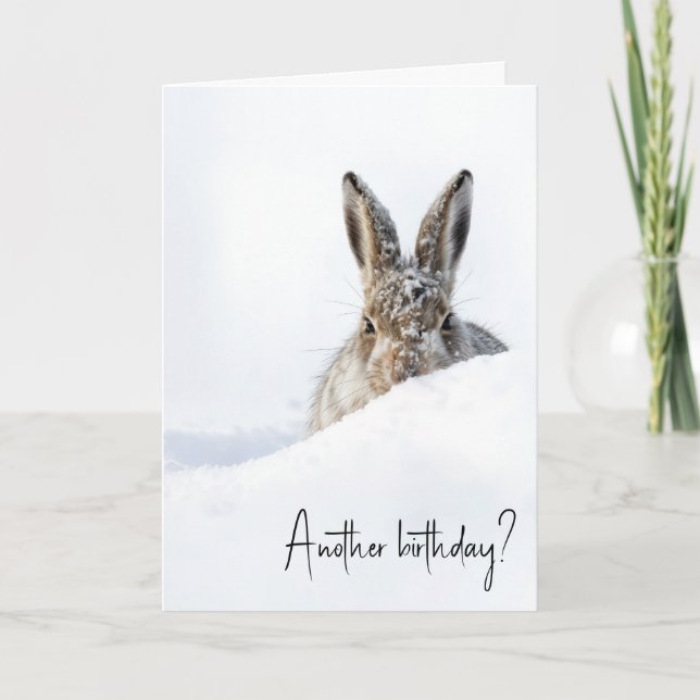 Birthday Rabbit Peeking Over a Snowdrift Card (Front)