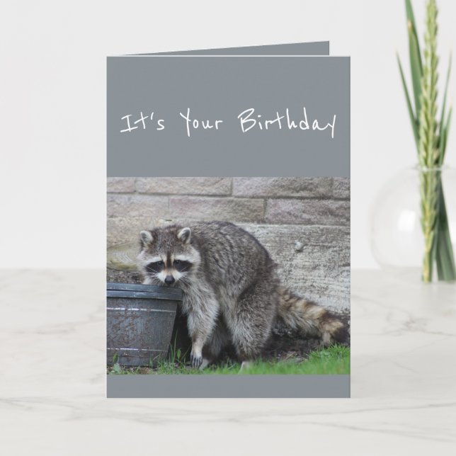 Birthday Racoon Bucket of Fun Humour Card (Front)