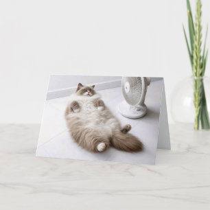 Birthday Ragdoll Cat Cooling Off by a Fan Card