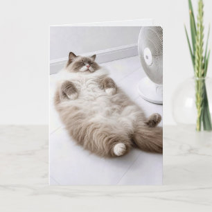 Birthday Ragdoll Cat Cooling Off by a Fan Card