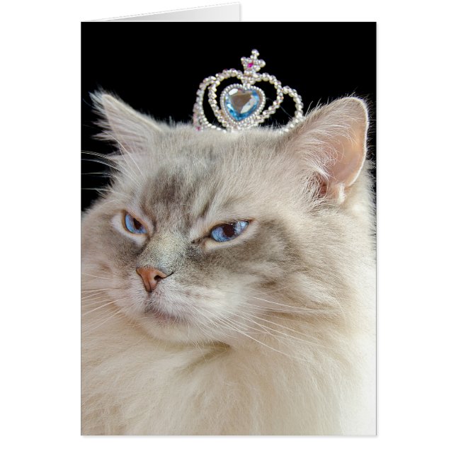 Birthday Ragdoll Cat with jewelled crown (Front)