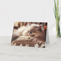Birthday Ragdoll Kitten On Pillow