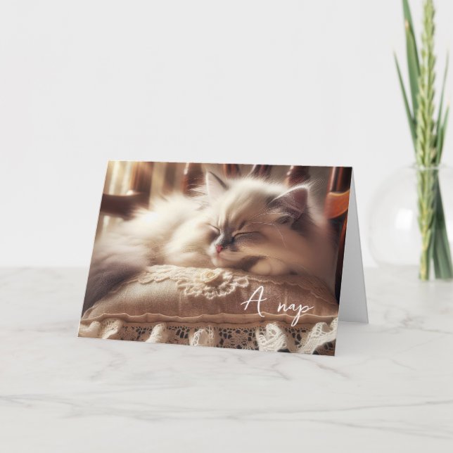 Birthday Ragdoll Kitten On Pillow Card (Front)