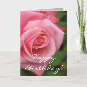 Birthday Rose Card