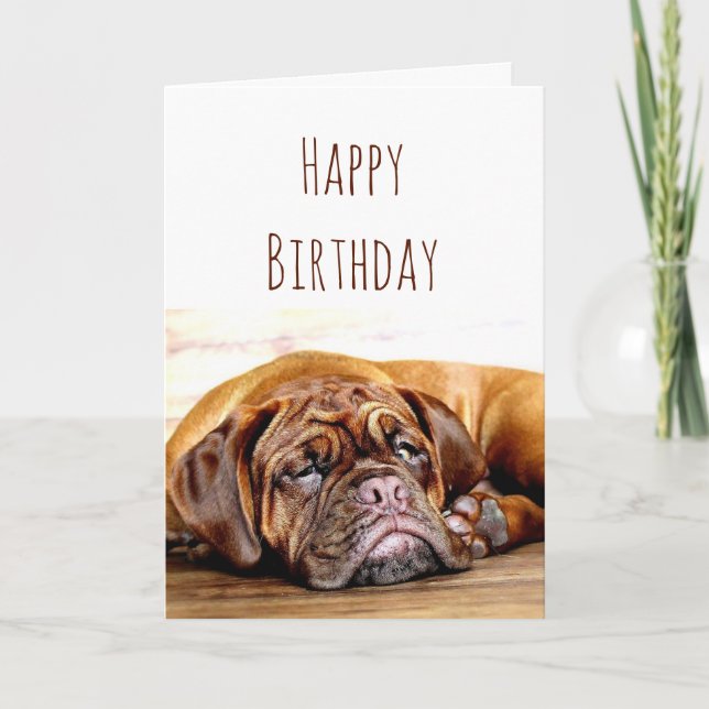 Birthday Sad Dog Stay Pawsitive Humour Card (Front)