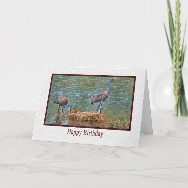 Birthday, Sandhill Crane Family Card (Front)