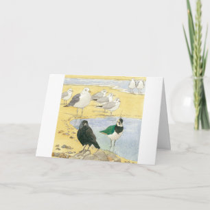 Birthday Seabird Jackdaw Lapwing Beach Nature Card