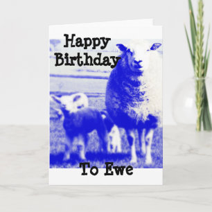 Birthday Sheep Card