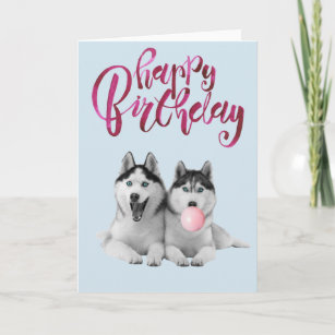 Birthday Siberian Husky Dog Animal Bubble Gum Card