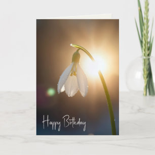 Birthday Snowdrop with Dewdrops in Sunlight Card