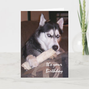Birthday, Something for you, Humour with Dog Card