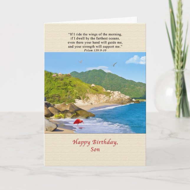 Birthday, Son, Beach, Hills, Birds, Ocean Card (Front)