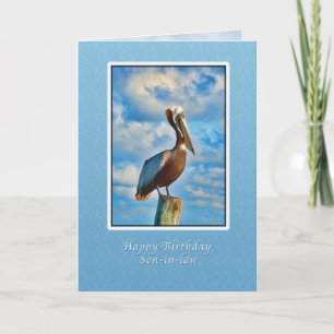 Birthday, Son-in-law, Brown Pelican on Post Card