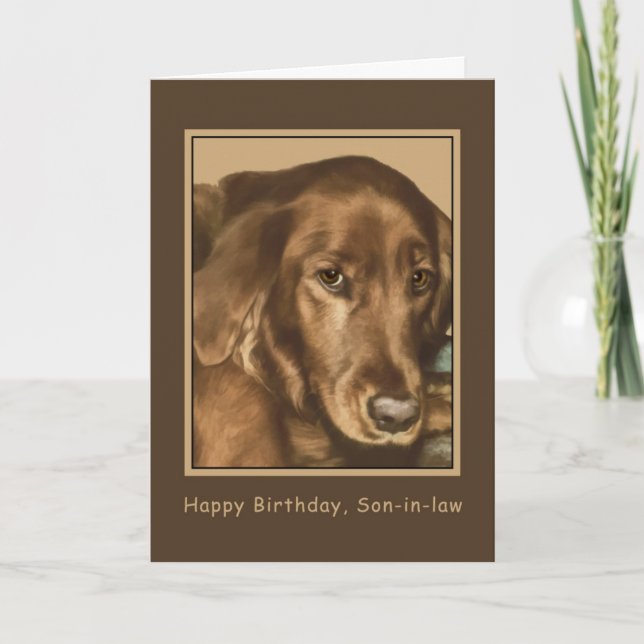 Birthday, Son-in-law, Golden Irish Dog Card (Front)